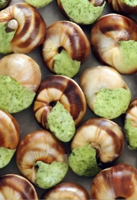 Francia sült csiga - escargot à la bourguignonne